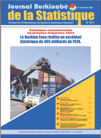 JBS N°017